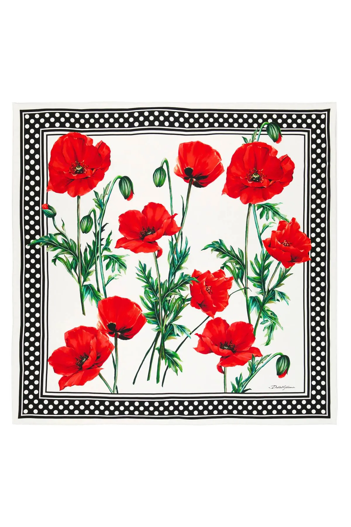 Dolce & gabbana camellia print scarf