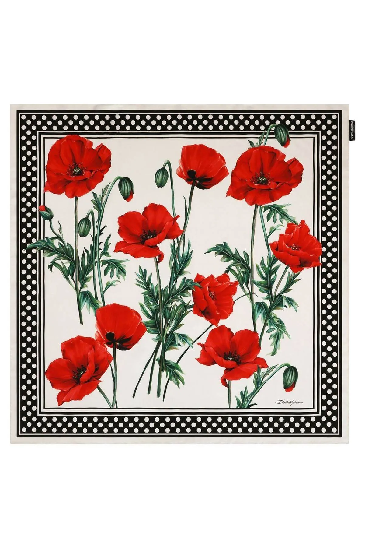 Dolce & gabbana camellia print scarf