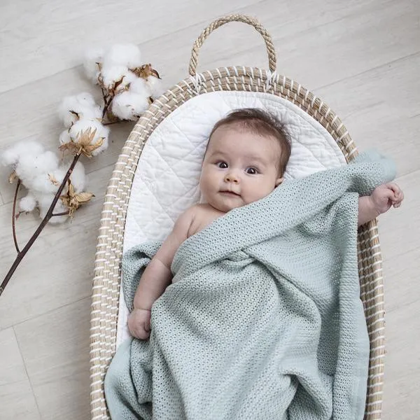 Living Textiles- Organic  Bassinet/Pram Blanket