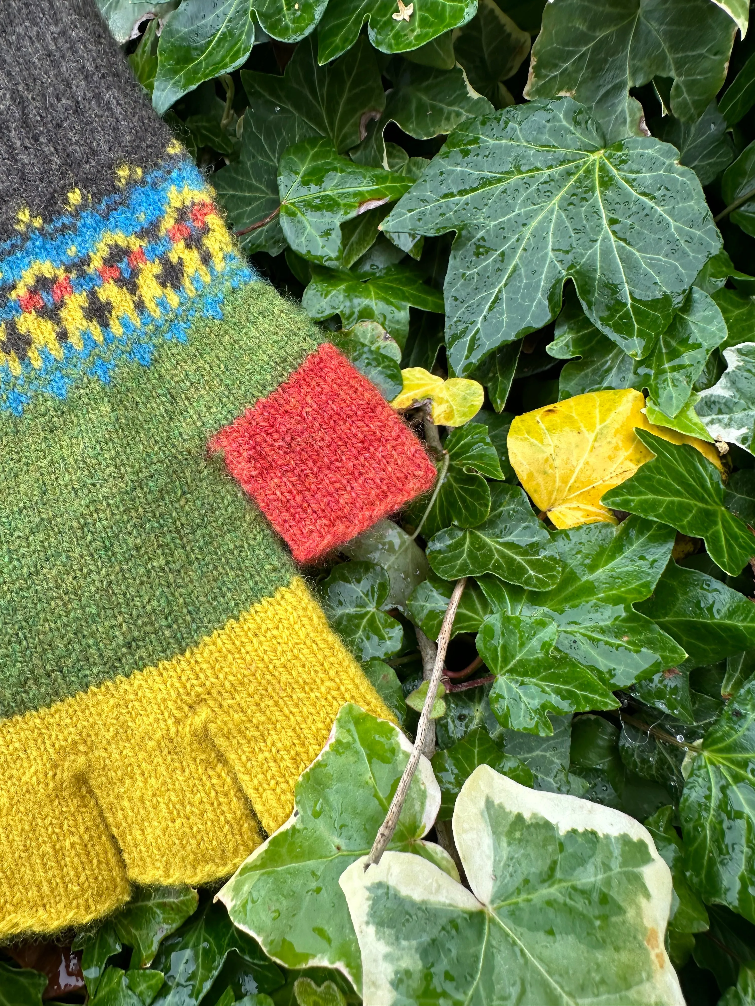 New Alloa Fingerless Gloves In October