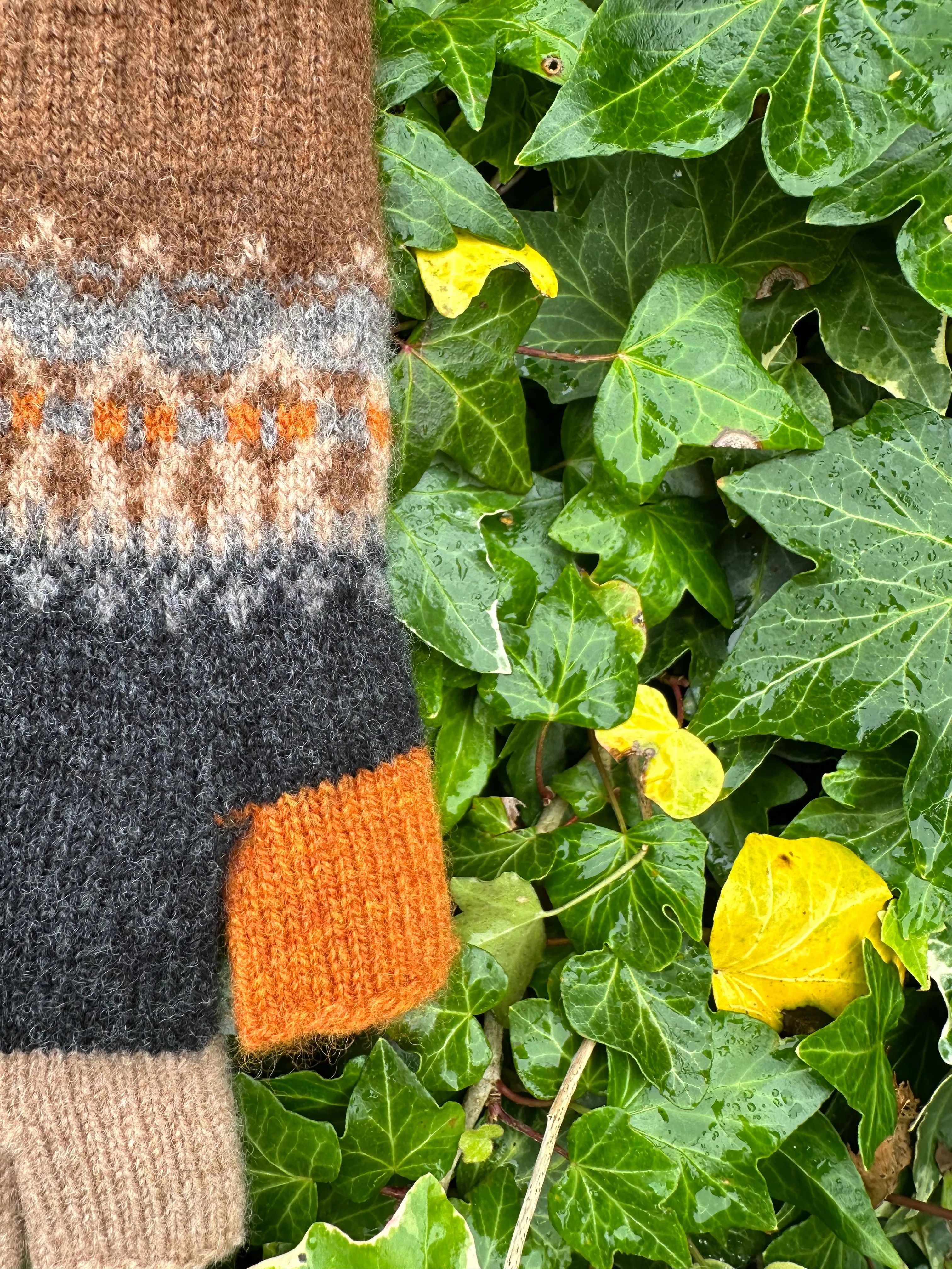 New Alloa Fingerless Gloves In Winter