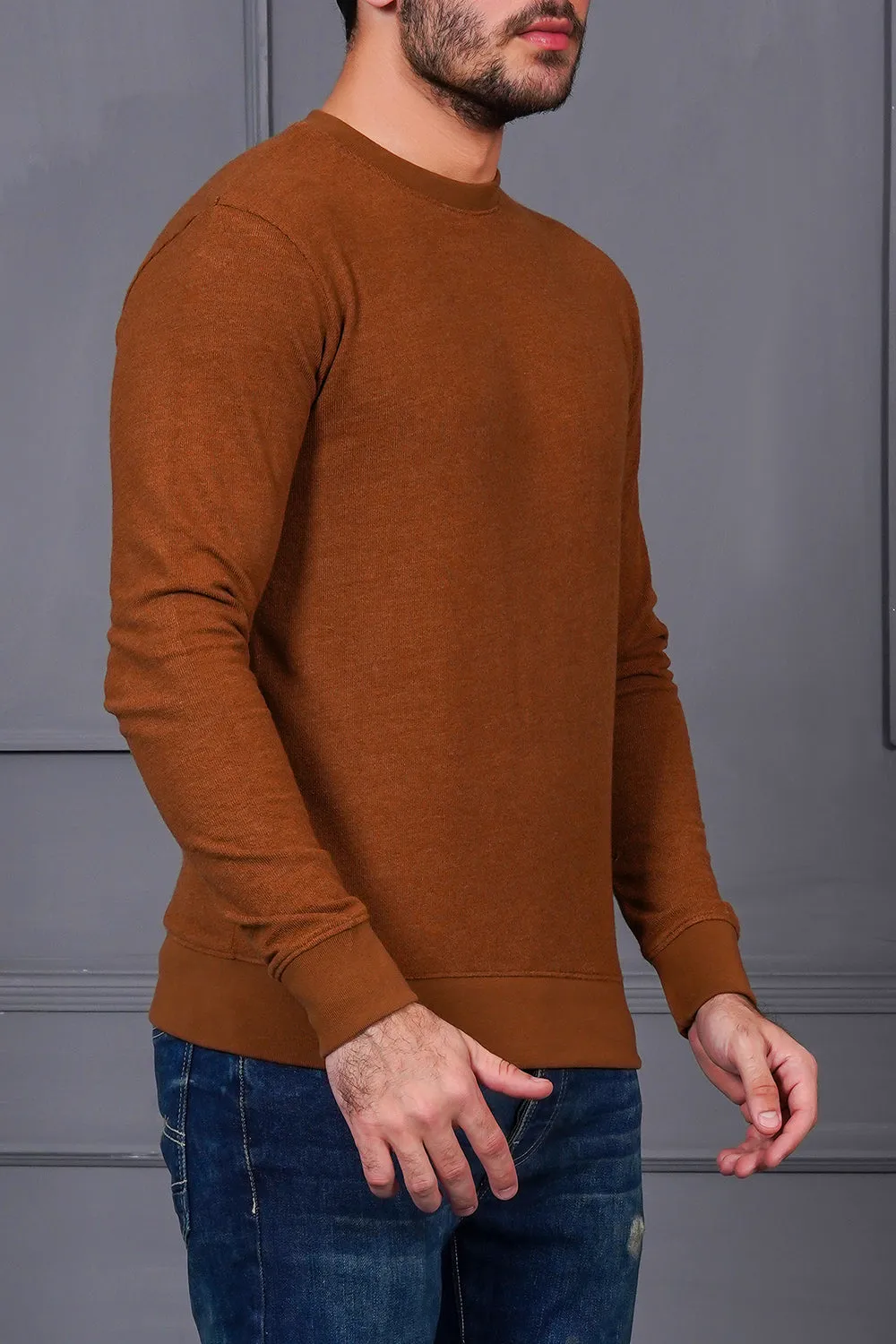 Regular Fit Thermal Sweatshirt For Men